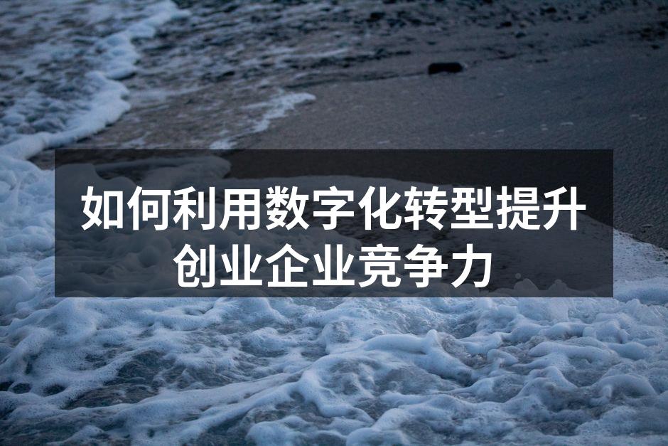 如何利用数字化转型提升创业企业竞争力